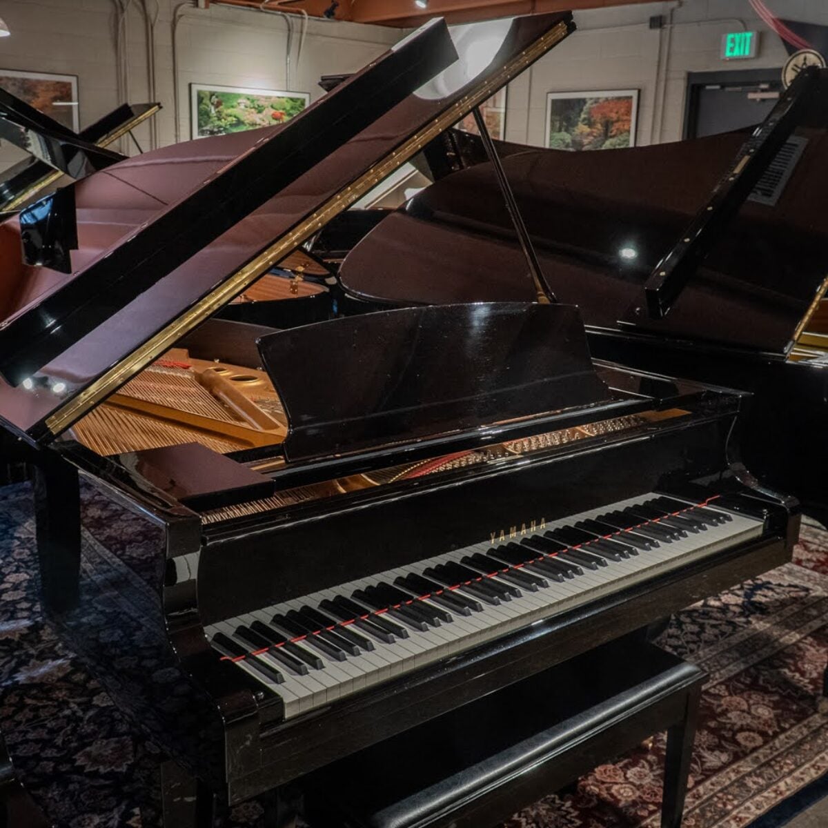 Yamaha S5X Professional Conservatory Grand