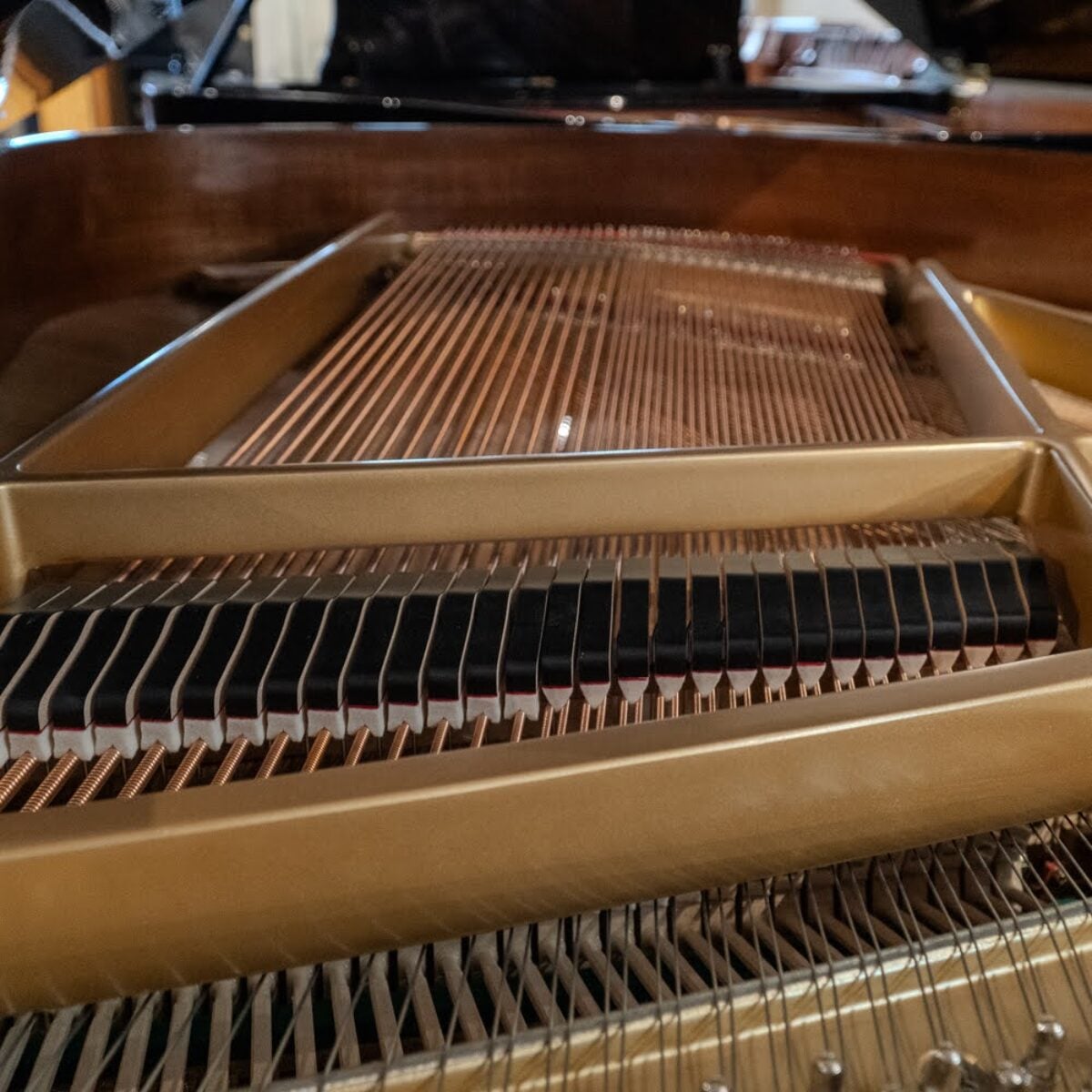 Kawai GM-10 Baby Grand Piano