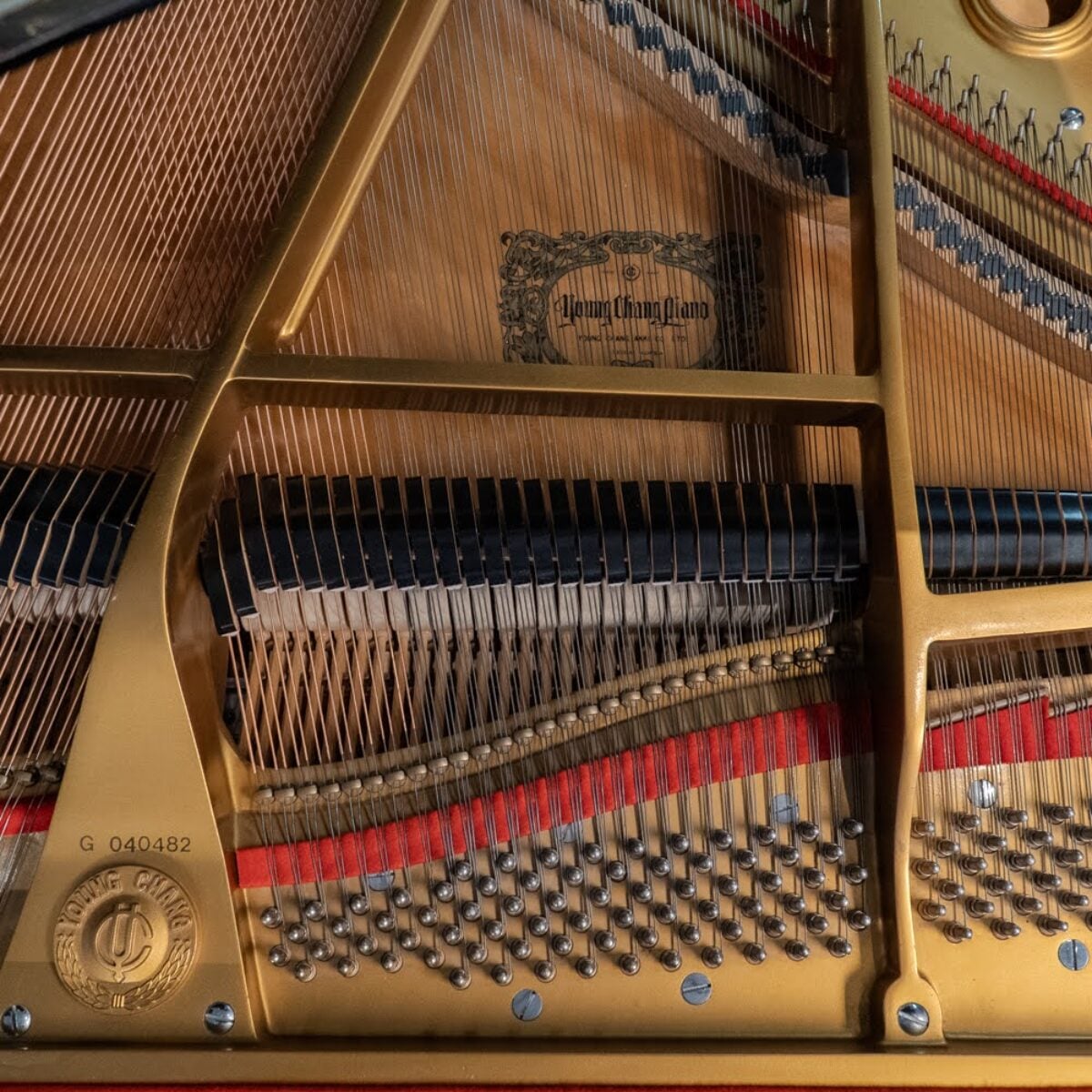Young Chang G-150 Baby Grand Piano