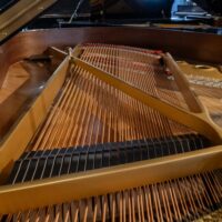 Kawai RX-3 Conservatory Grand