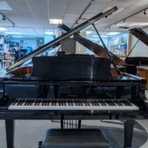 Image for Petrov V European Baby Grand