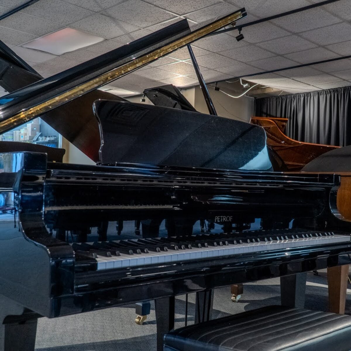 Petrov V European Baby Grand
