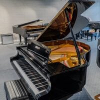 Petrov V European Baby Grand