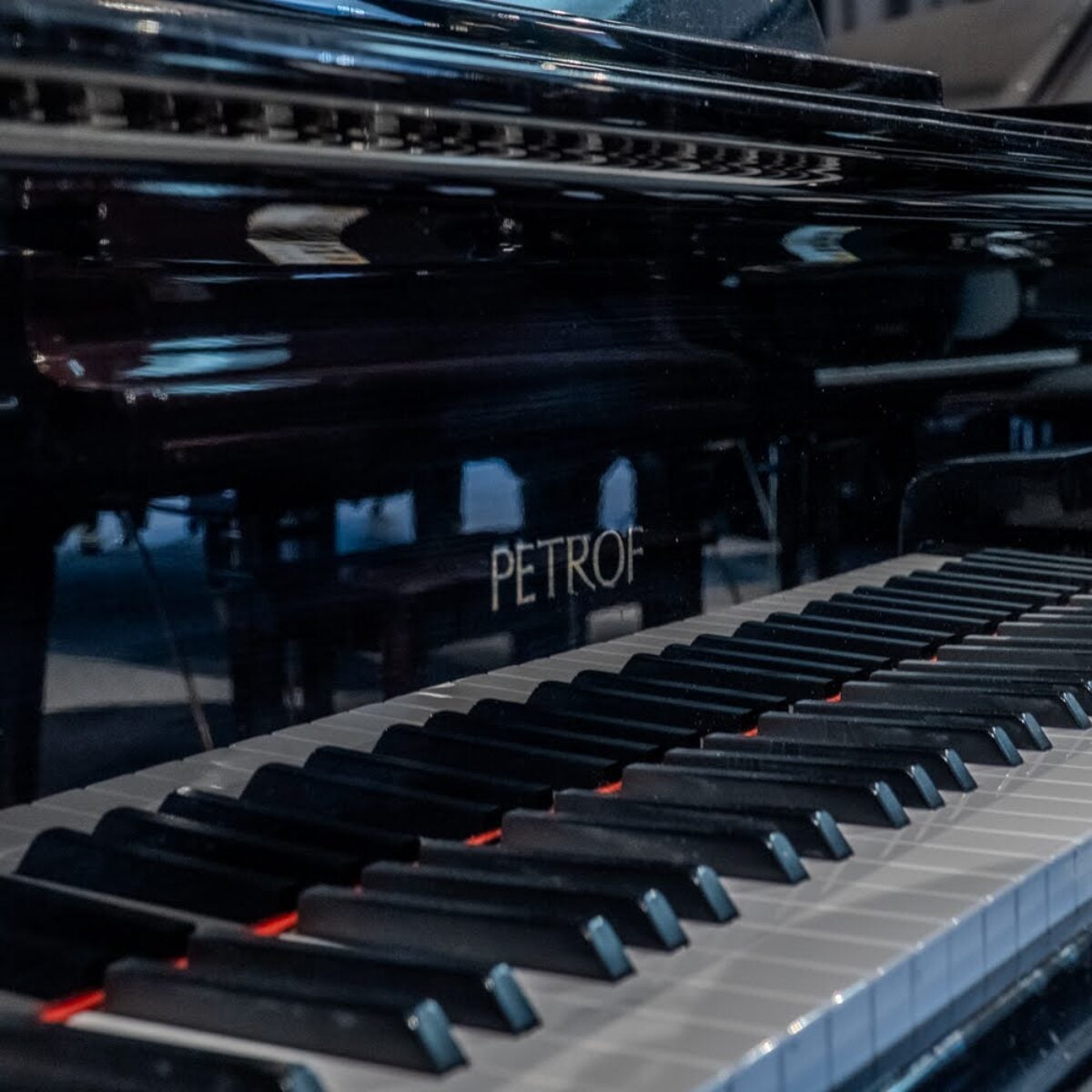 Petrov V European Baby Grand
