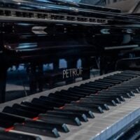 Petrov V European Baby Grand