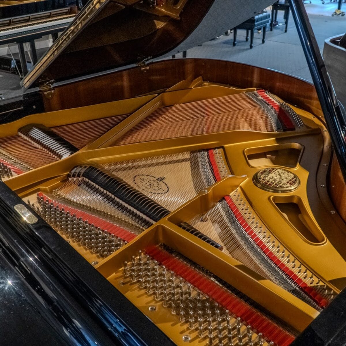 Petrov V European Baby Grand