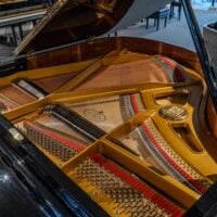 Petrov V European Baby Grand