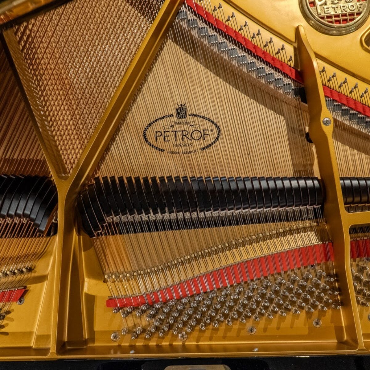 Petrov V European Baby Grand