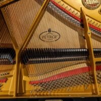 Petrov V European Baby Grand