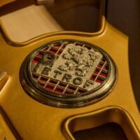 Petrov V European Baby Grand