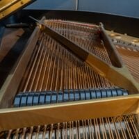 Baldwin “SF” Semi Concert Grand Piano