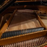 Steinway & Sons 1924 “M” Hand built Living Room Grand
