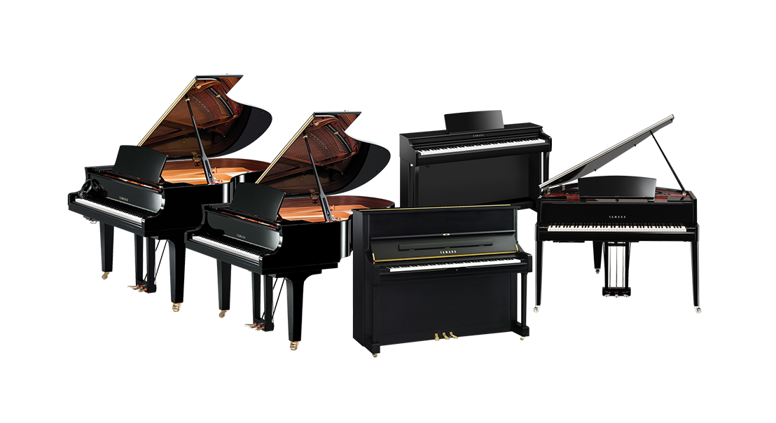 Yamaha grand, hybrid, and upright pianos selection with polished ebony finish from Classic Pianos Denver.